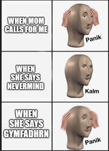 Load image into Gallery viewer, Panik Kalm Panik Meme, Stickers, Custom Sizes , Waterproof

